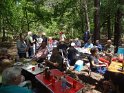 2014-06-05 13-41-57 Foret de Fontainebleau DLe
